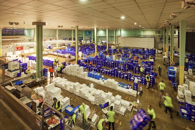 Sydney Fish Market Behind the Scenes Tour - An Inside Look at the Sydney Fish Market Behind-the-Scenes Tour