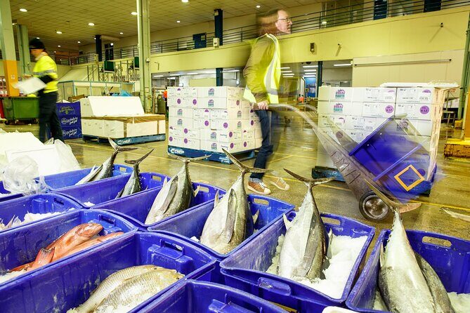Sydney Fish Market Behind the Scenes Tour - Detailed Breakdown of the Itinerary