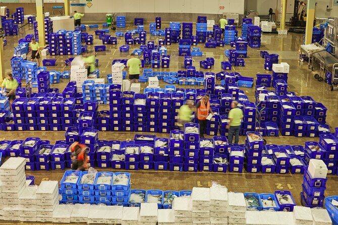 Sydney Fish Market Behind the Scenes Tour - The Sum Up