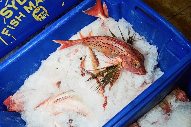 Sydney Fish Market Behind the Scenes Tour - Frequently Asked Questions