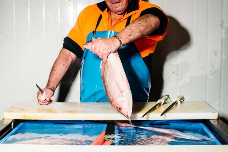 Sydney Fish Market Behind the Scenes Tour - Exploring the Sydney Fish Market Behind the Scenes Tour