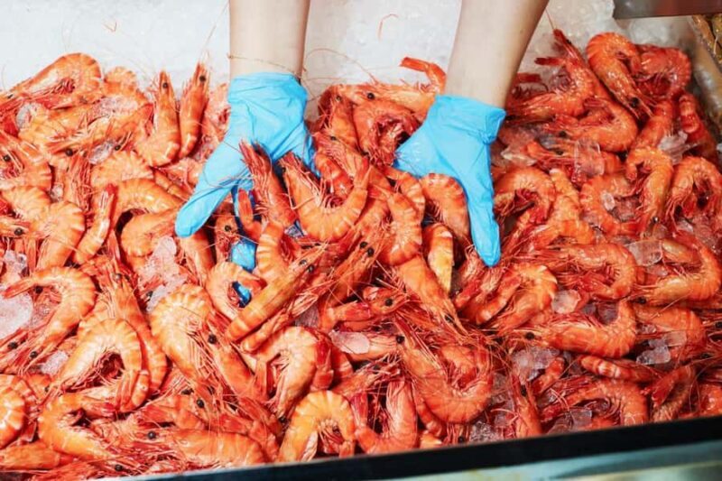Sydney: Fish Market Food Tour - Key Points