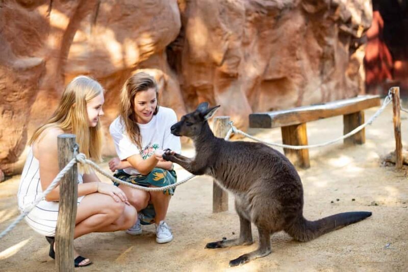 Sydney: Flexi Pass - Pick 3, 5 or 7 Experiences - Is the Pass Worth It?