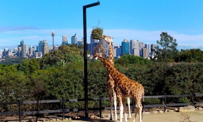Sydney: Flexi Pass - Pick 3, 5 or 7 Experiences - FAQs