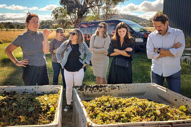 Sydney Grains and Grapes Hunter Valley Wine and Beer with Lunch - Introduction