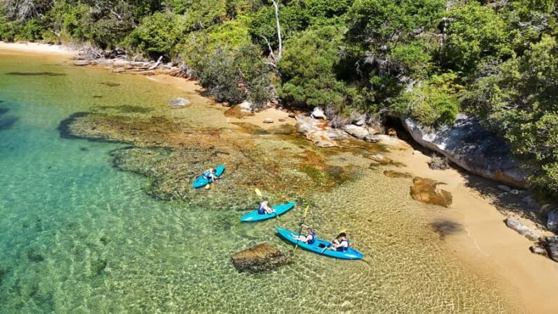 Sydney: Guided Kayak Taster Tour from Manly - Key Points
