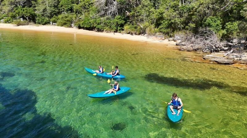 Sydney: Guided Kayak Taster Tour from Manly - Starting Point and Accessibility