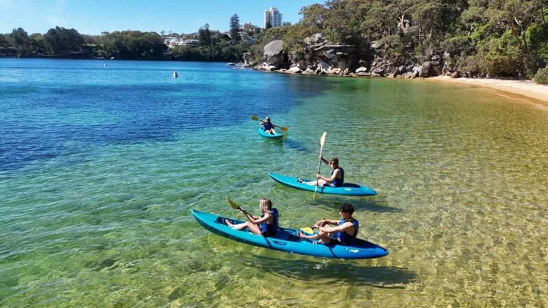 Sydney: Guided Kayak Taster Tour from Manly - The Beach Stop and Optional Activities