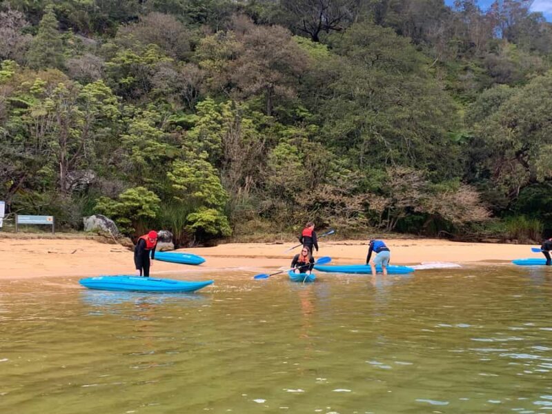 Sydney: Guided Kayak Taster Tour from Manly - Duration and Group Size
