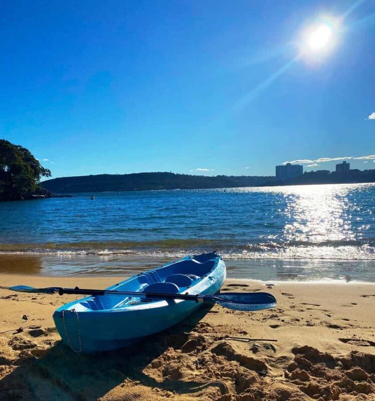 Sydney: Guided Kayak Taster Tour from Manly - Price and Value