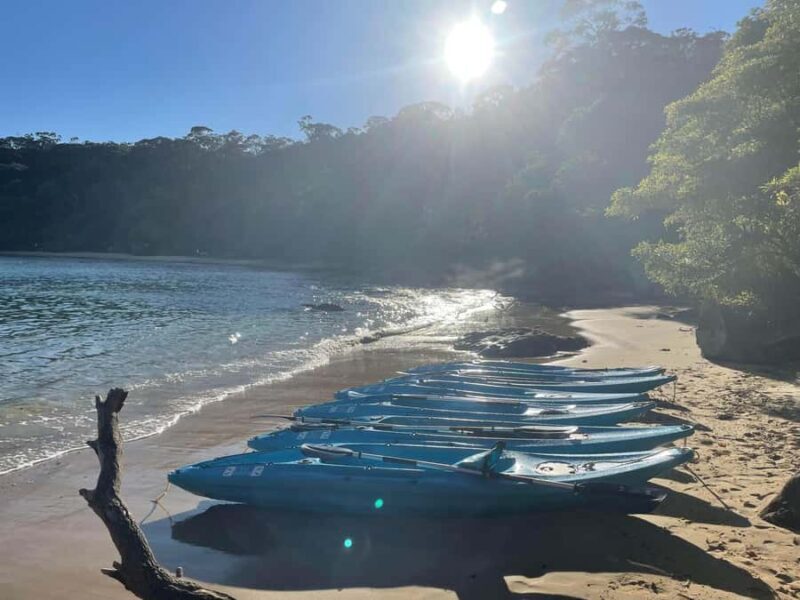 Sydney: Guided Kayak Taster Tour from Manly - What Past Participants Say