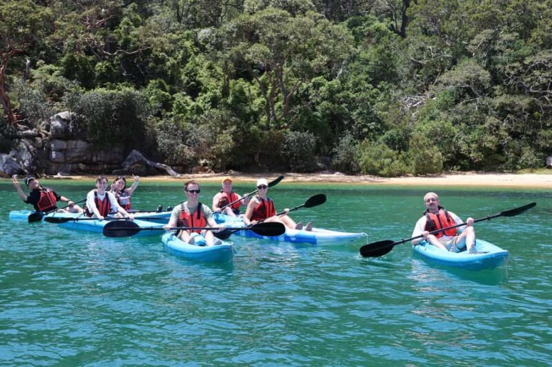 Sydney: Guided Kayak Tour of Manly Cove Beaches - An Introduction to the Tour