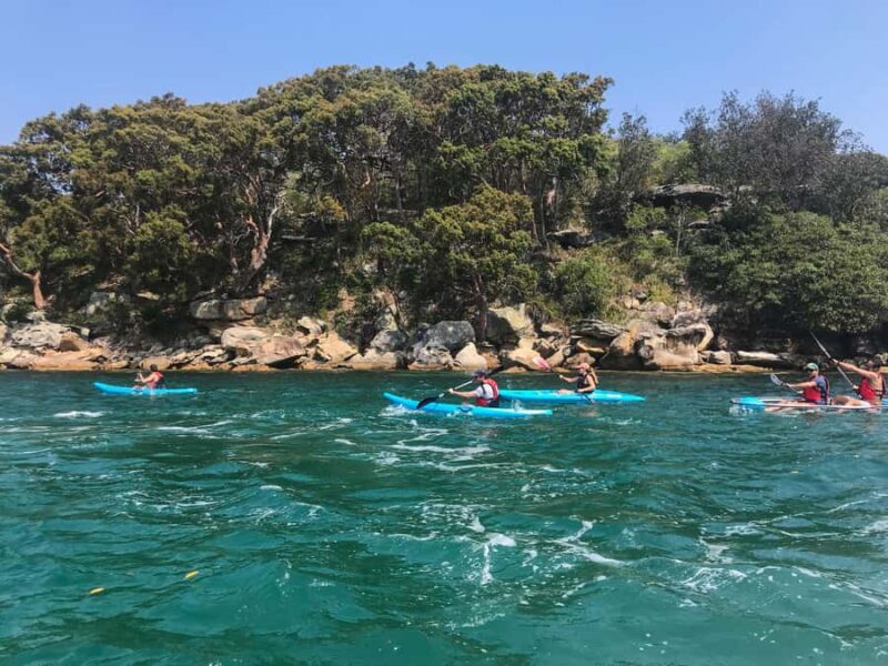 Sydney: Guided Kayak Tour of Manly Cove Beaches - What Makes This Tour Special?