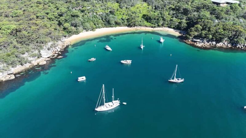 Sydney: Guided Kayak Tour of Manly Cove Beaches - Authentic Testimonials & Real Experiences