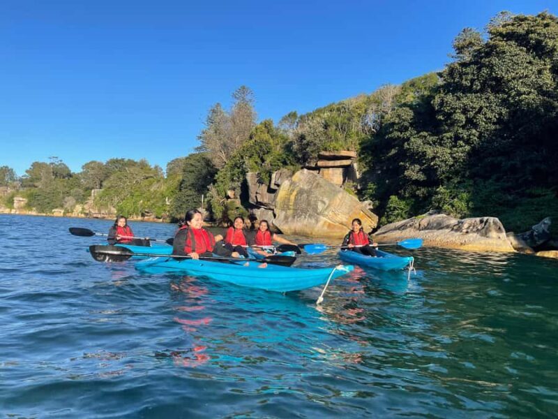 Sydney: Guided Kayak Tour of Manly Cove Beaches - Who Should Consider This Tour?