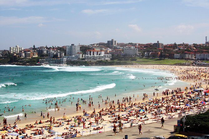 Sydney Half Day Private Tour: See Sydney Opera House and Bondi - The Sum Up: Is It Worth It?