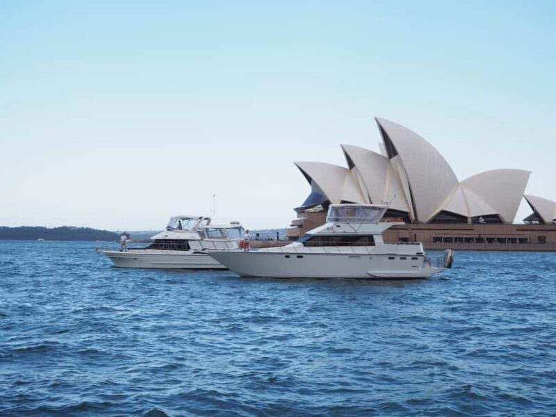 Sydney Harbour: 2-Hour Morning Yacht Cruise with Morning Tea - Who Should Consider This Tour?