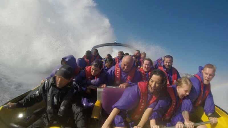 Sydney Harbour: 45-Minute Extreme Adrenaline Rush Ride - An In-Depth Look at the Experience