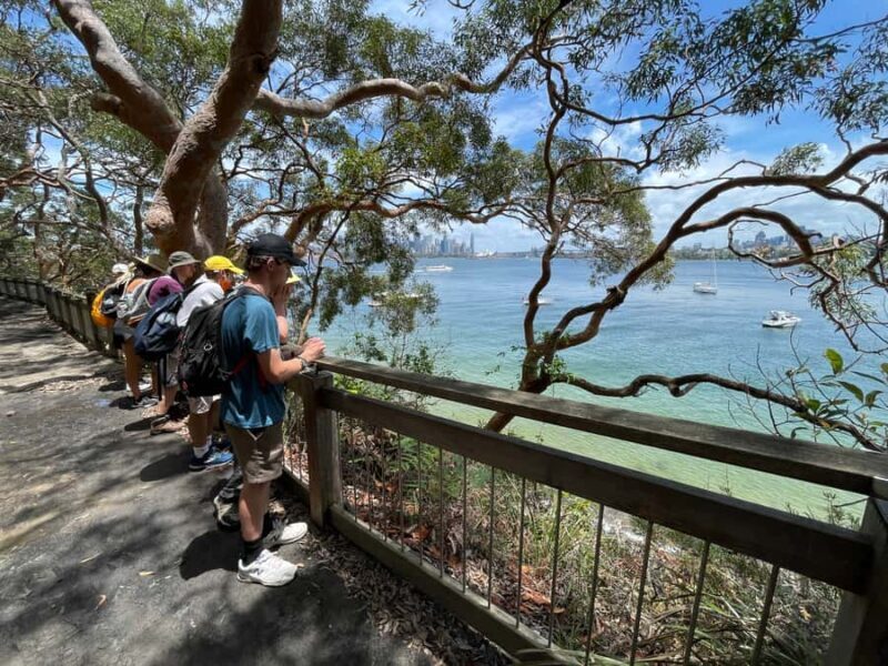Sydney Harbour National Park 2-Hour Walking Tour - An Overview of the Sydney Harbour National Park 2-Hour Walking Tour