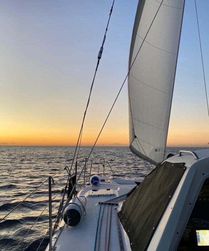 Sydney Harbour: Private Sunset Sail - Analyzing the Value