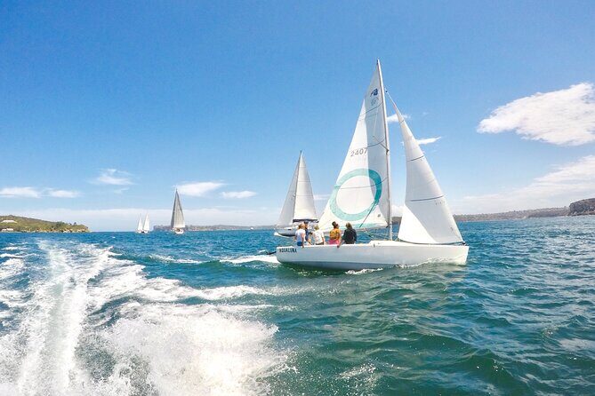 Sydney Harbour - Sailing Hands-On Experience - Final Thoughts