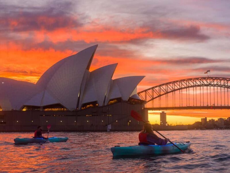 Sydney: Harbour Sunrise Kayak Tour - An In-Depth Look at the Sydney Harbour Sunrise Kayak Tour
