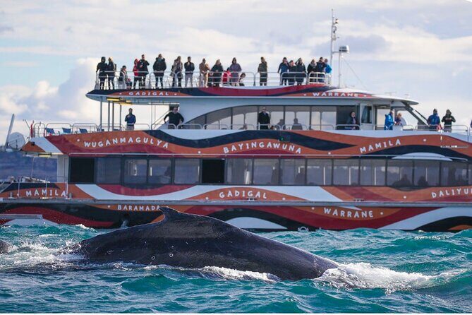 Sydney Harbour Whale Watching Experience - A Deep Dive into the Whale Watching Tour