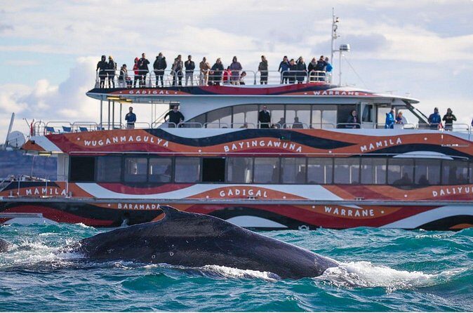 Sydney Harbour Whale Watching Experience - Practical Tips for Your Whale Watching Trip