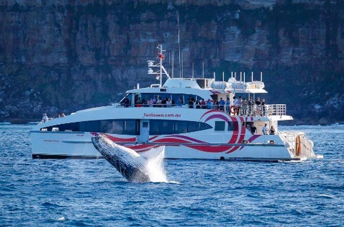 Sydney Harbour Whale Watching Experience - FAQ about the Sydney Harbour Whale Watching Experience