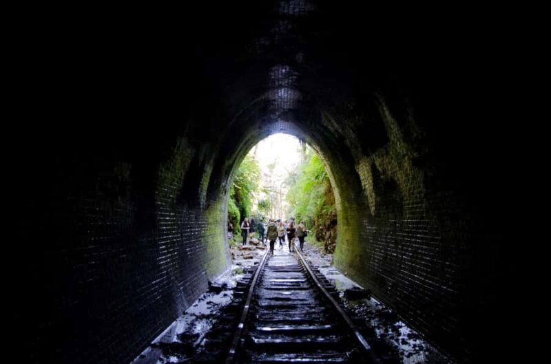 Sydney: Helensburgh Glow Worm Tunnel Tour with Transfer - An Overview of the Tour Experience