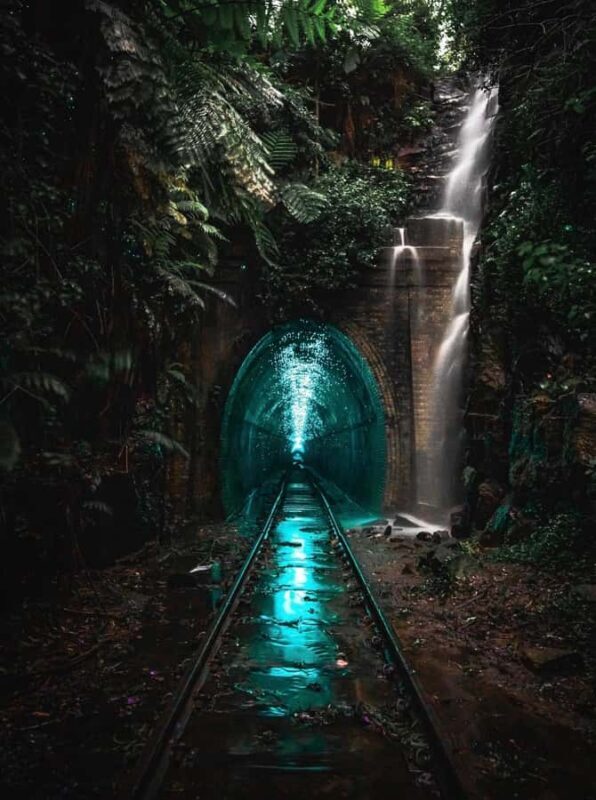 Sydney: Helensburgh Glow Worm Tunnel Tour with Transfer - What Makes This Tour Special
