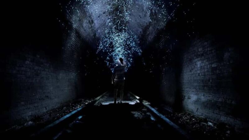 Sydney: Helensburgh Glow Worm Tunnel Tour with Transfer - The Guided Tour: Knowledge and Enthusiasm