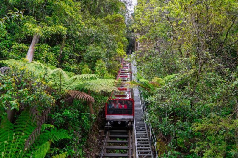 Sydney: Heritage Zig Zag Steam Train and Blue Mountains Tour - Who Is This Tour Best For?