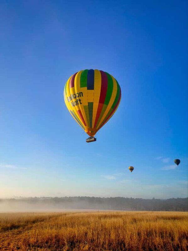 Sydney: Hunter Valley Sunrise Balloon Flight with Transfer - Key Points