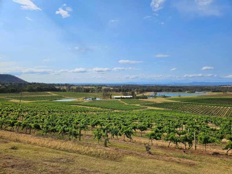 Sydney Hunter Valley Tour - The Sum Up: The Value of a Guided Hunter Valley Day Trip