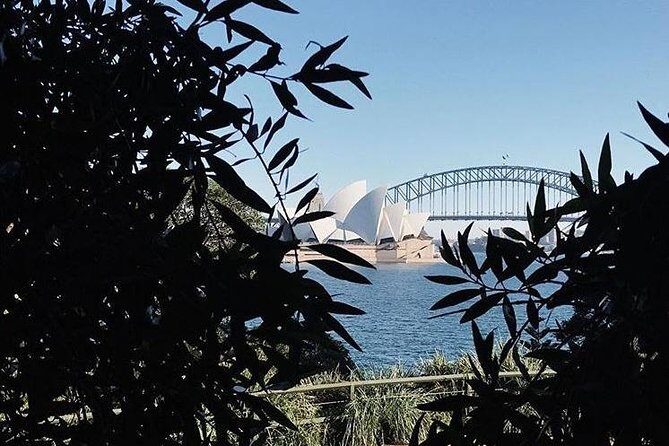 Sydney Icons & Bondi Half Day Private Tour - Authentic Feedback from Participants