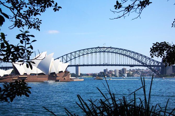 Sydney Icons & Bondi Half Day Private Tour - Who Should Consider This Tour?