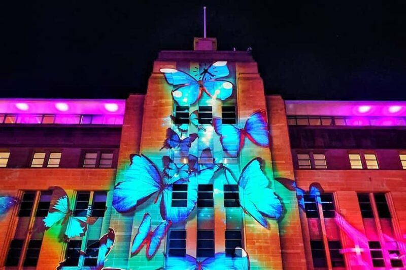 Sydney: Intimate Vivid Harbour Cruise with Canapes - Who Is This Experience Best For?