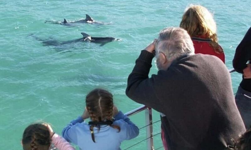 Sydney: Jervis Bay Day Trip with Dolphins, Roos & Beach Time - Journey Through the Day