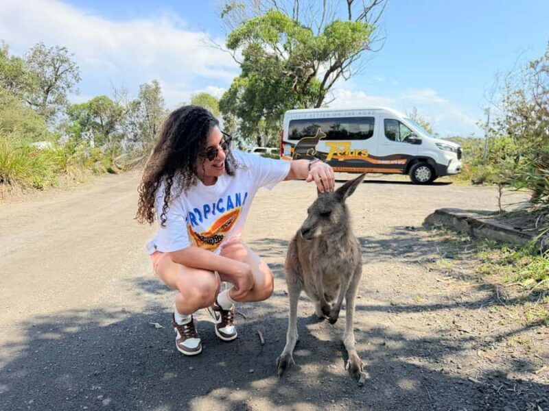 Sydney: Jervis Bay & South Coast Small Group Wild Kangaroos - Key Points
