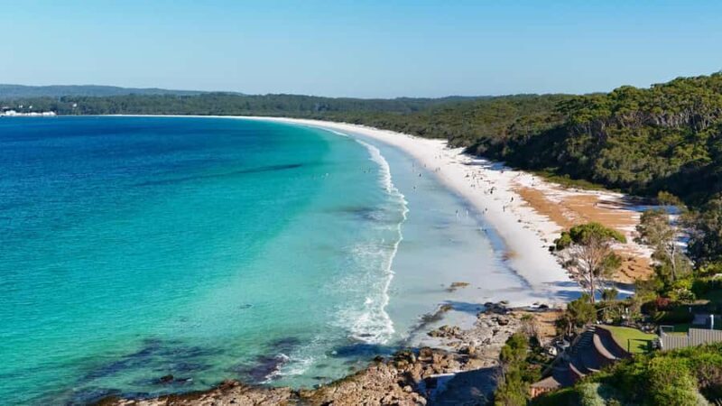 Sydney: Jervis Bay & South Coast Small Group Wild Kangaroos - Guides and Customer Experience