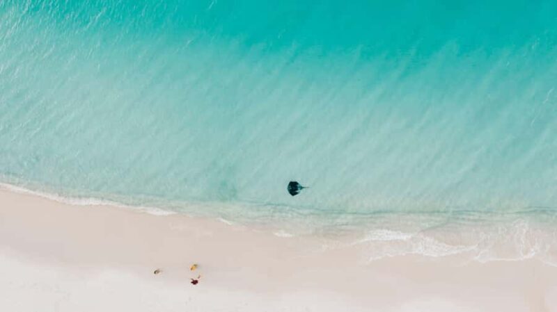Sydney: Jervis Bay Tour with Beaches, Koalas & Kangaroos - An Honest Walkthrough: What the Day Looks Like