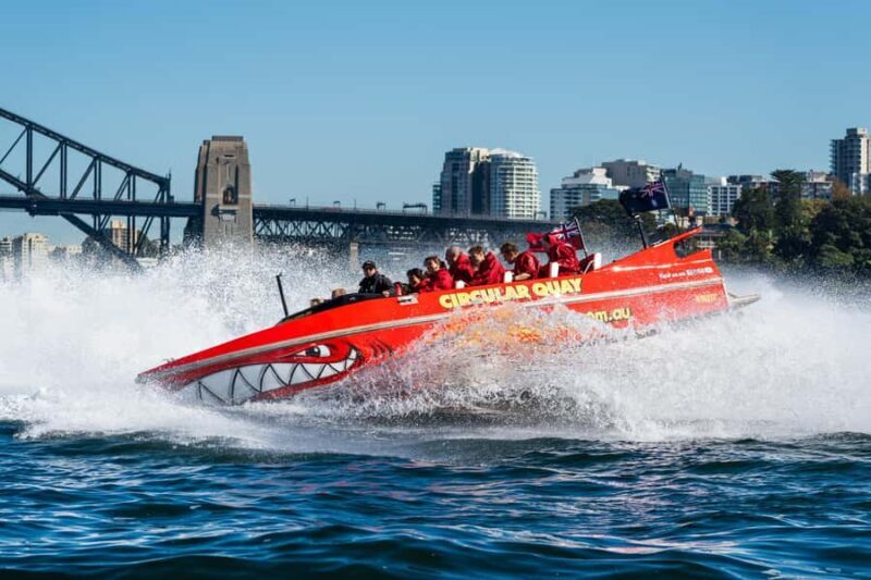Sydney: Jet Boat Adventure Ride from Circular Quay - The Experience: What to Expect