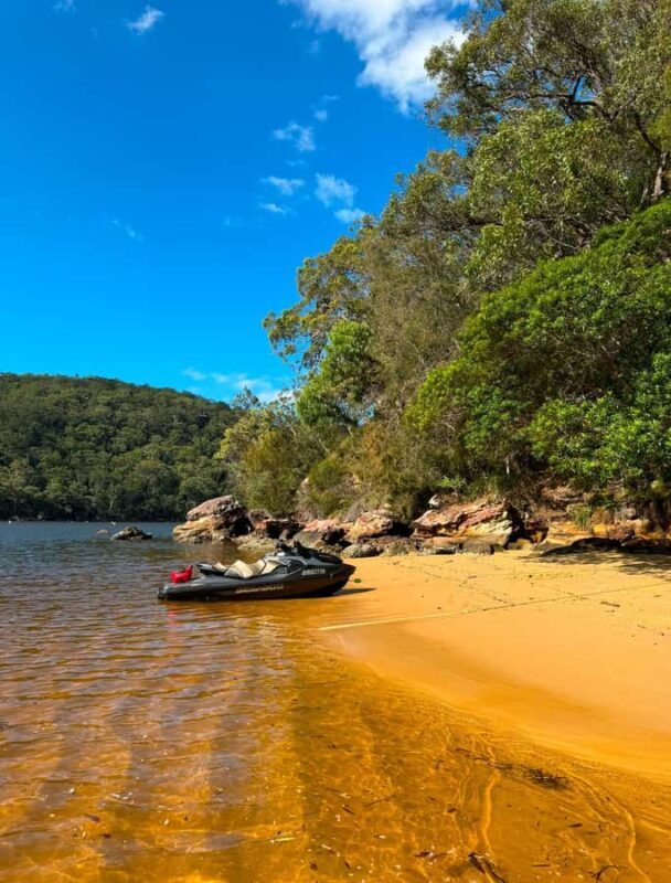 Sydney: Jet Ski Rental with Snorkeling Gear - What to Expect: An Adventure in Every Kind of Water
