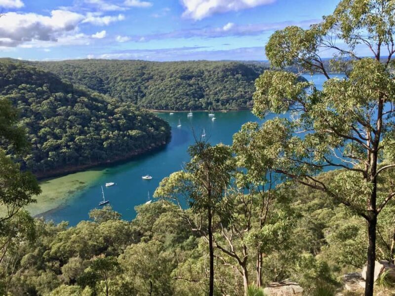 Sydney: Jet Ski Rental with Snorkeling Gear - From the Reviews: What Travelers Say