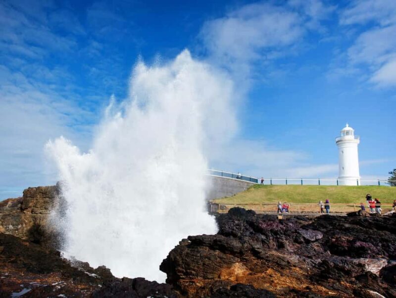 Sydney: Kiama Costal Private Day Tour with Local Experiences - A Complete Look at the Experience