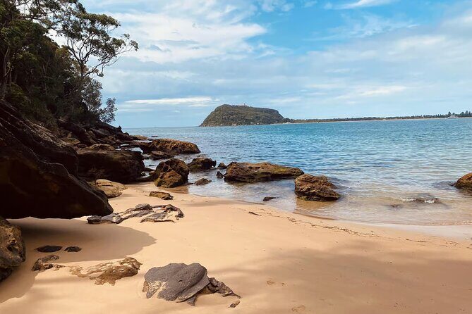 Sydney: Ku-ring-gai Chase National Park with Hike, Swim, Picnic - A Comprehensive Look at the Ku-ring-gai Chase National Park Tour