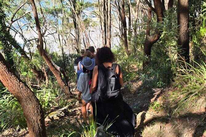 Sydney: Ku-ring-gai Chase National Park with Hike, Swim, Picnic - Who Will Love This Tour?