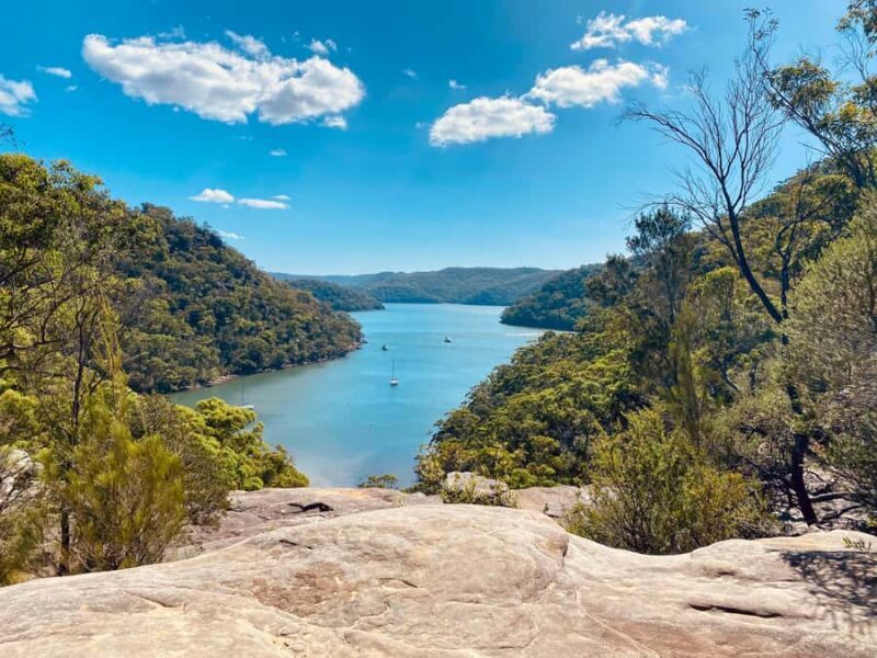 Sydney: Ku-ring-gai National Park with swim and picnic - Why Choose This Tour? A Deep Dive