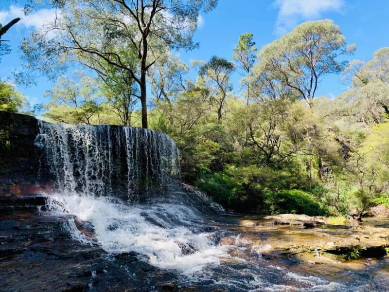 Sydney: Luxury Blue Mountains Adventure with Wentworth Falls - A Thorough Look at the Tour